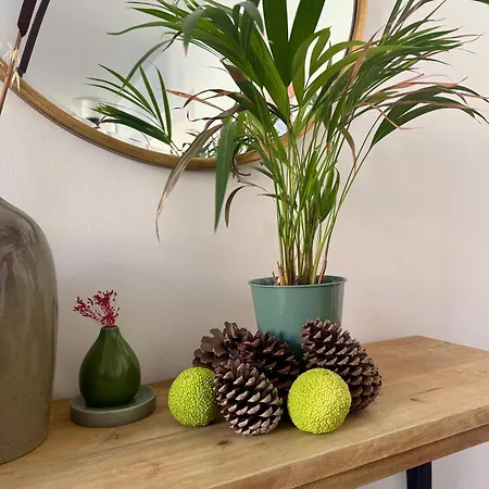 Maison Jardin - Centre Willa Angers