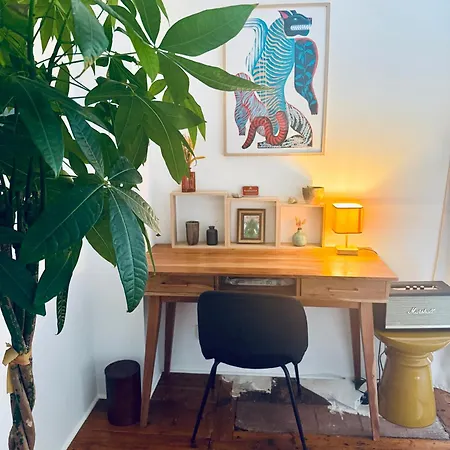 Maison Jardin - Centre Villa *