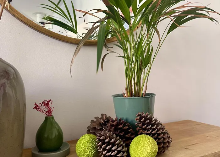 Maison Jardin - Centre Villa Angers