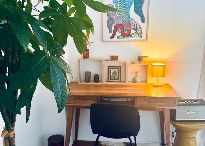 Maison Jardin - Centre Villa *